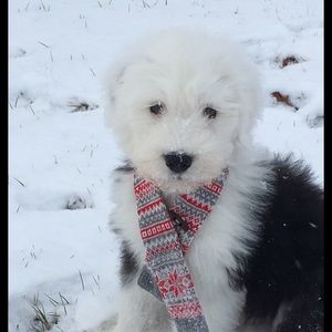 Meet your Posher, Tammy